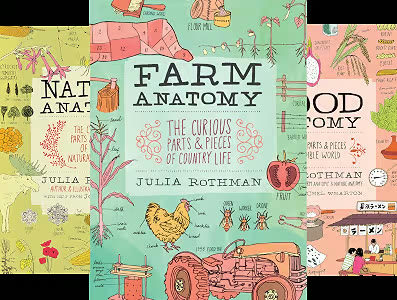 Anatomy series cover