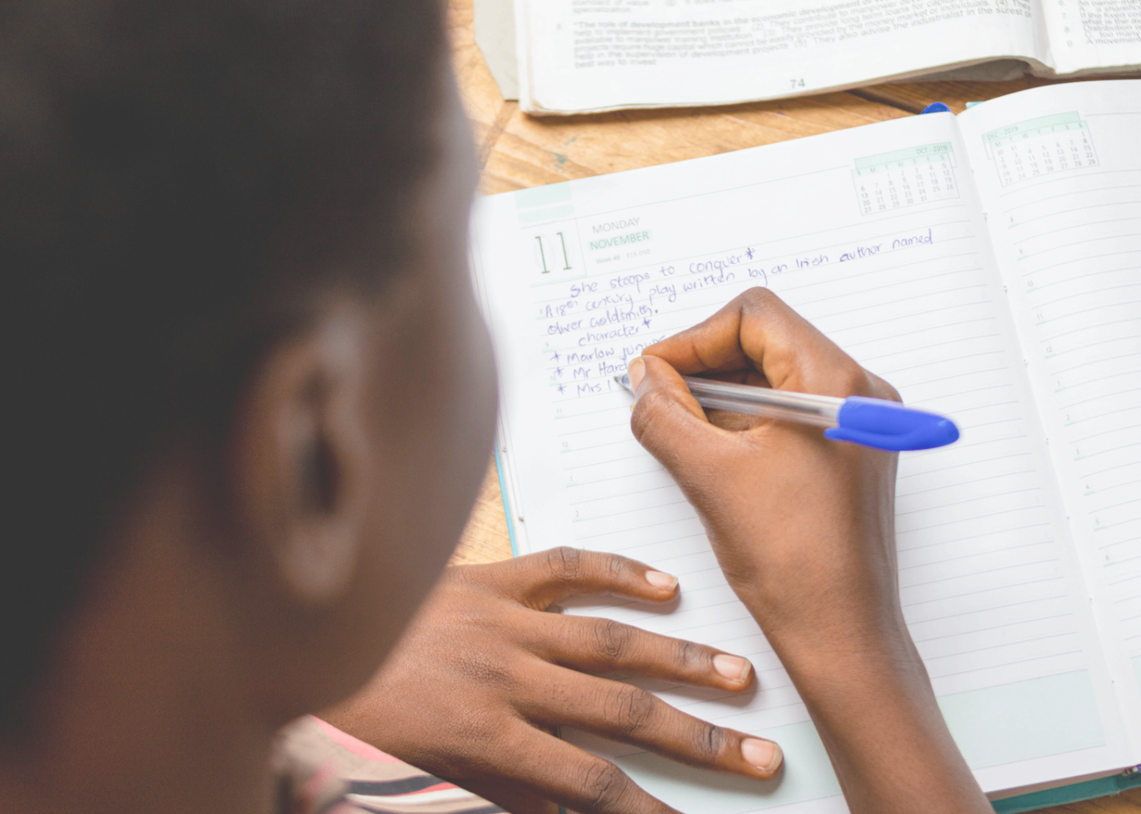 Language Arts curriculum reviews